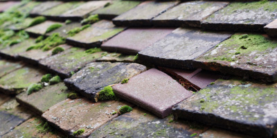 St Woolas roof repair costs